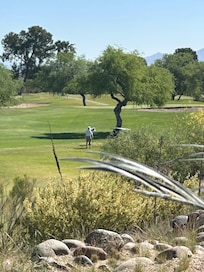 Golf course off the patio