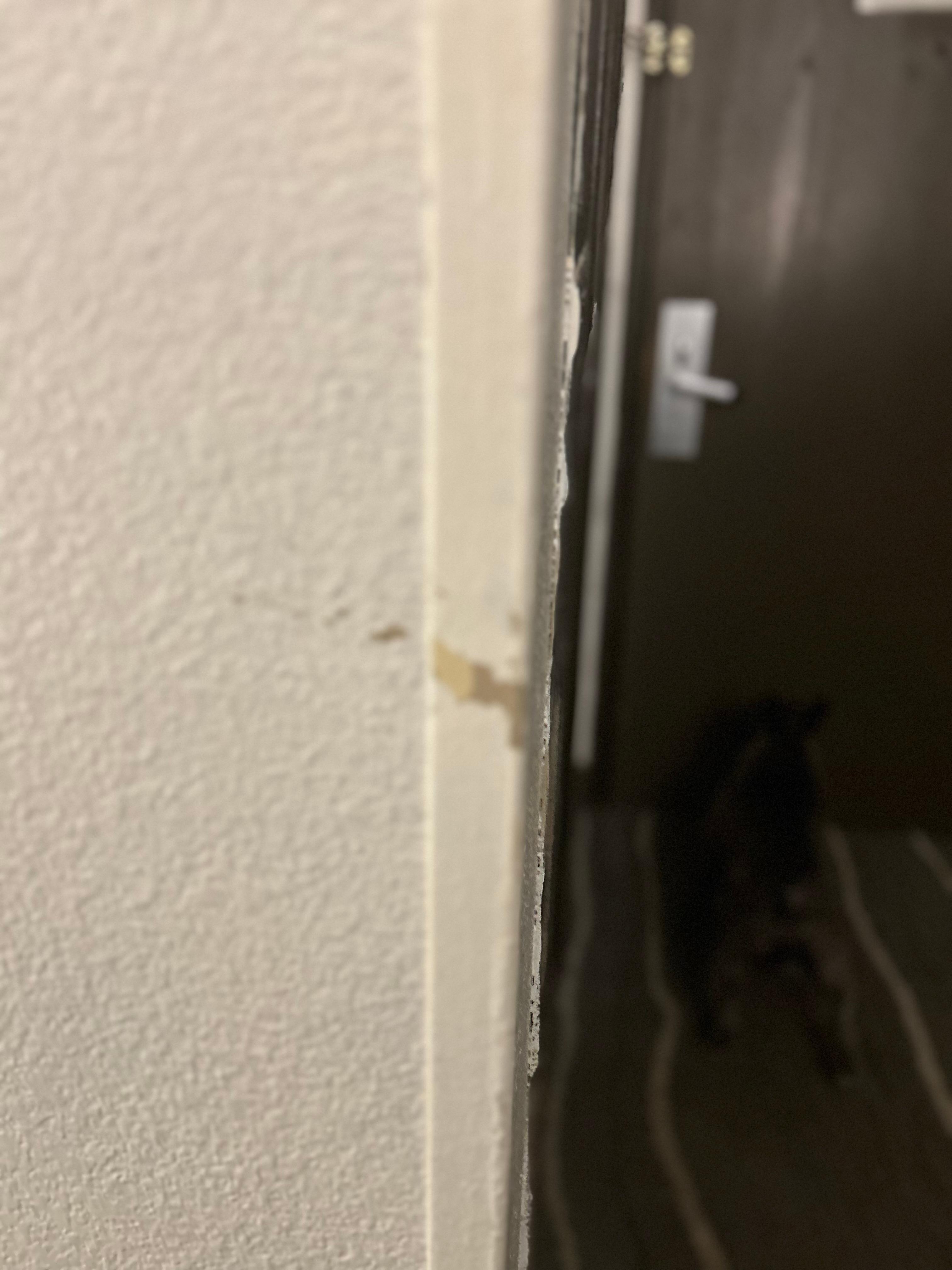 Stains on wall