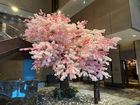 花が色々な所に飾らせていて、とても華やかな気分になります。