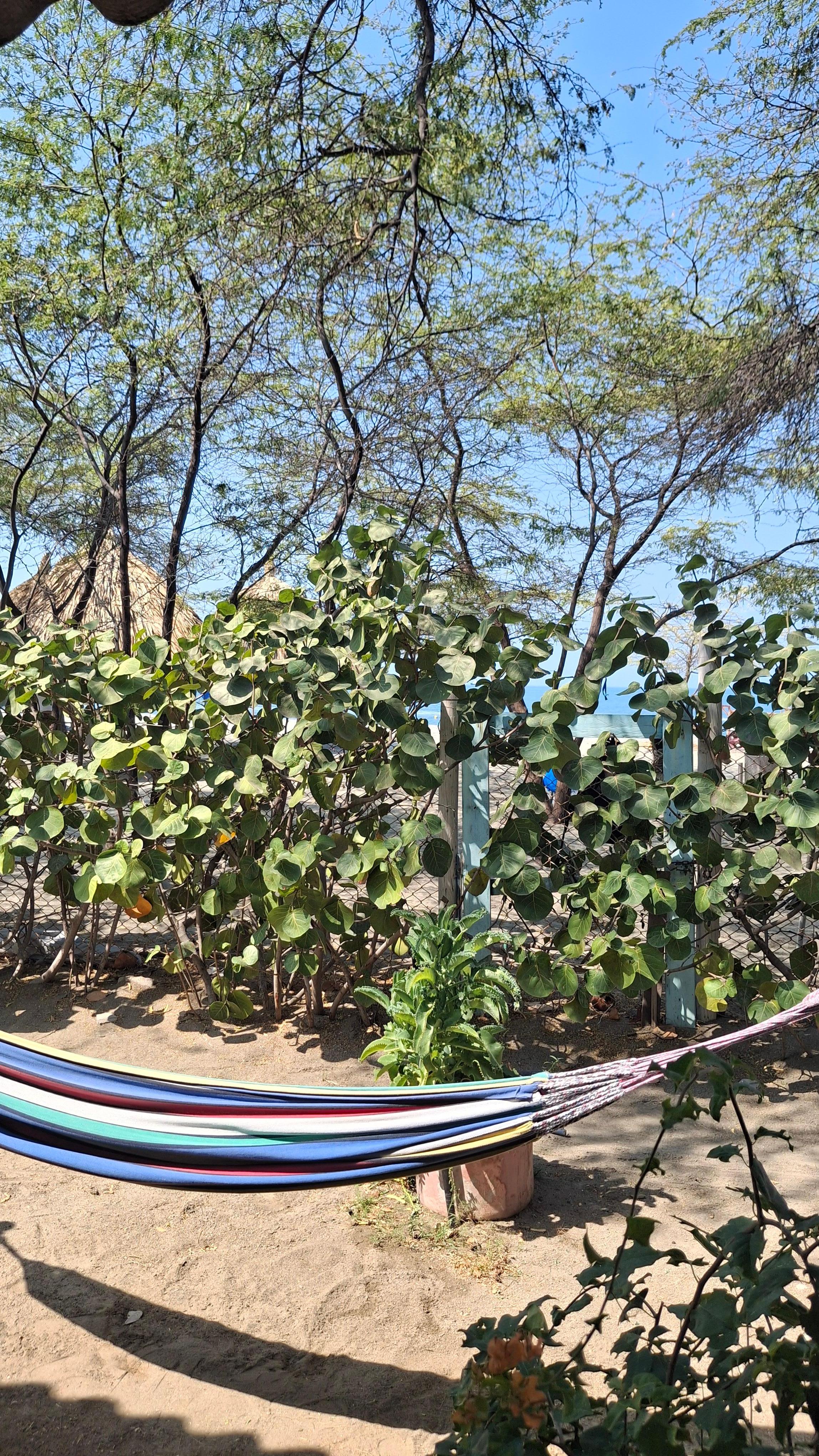 Hamacas para descansar.