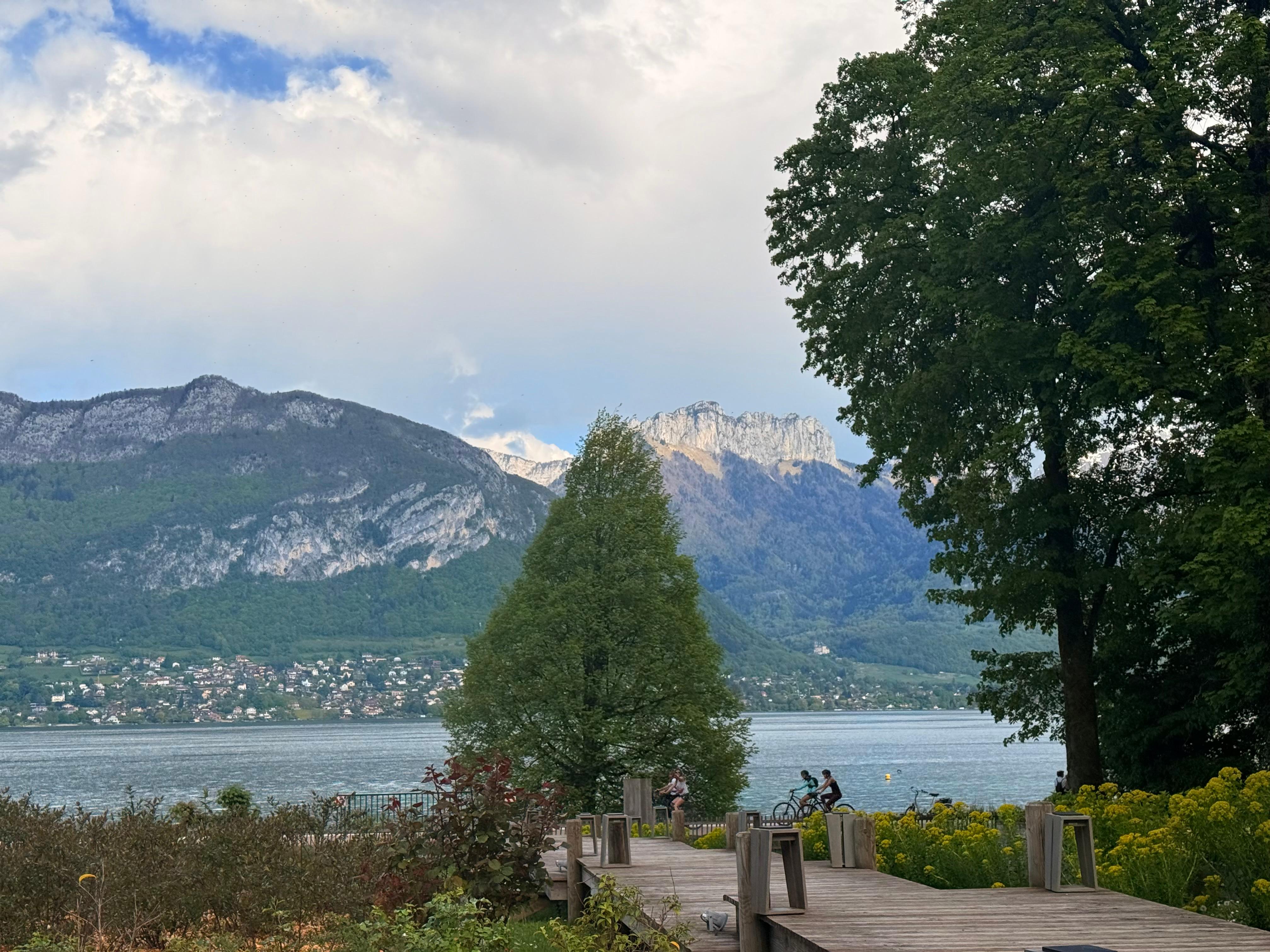 View from the patio
