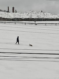 Taken out the living room window on our snow day.