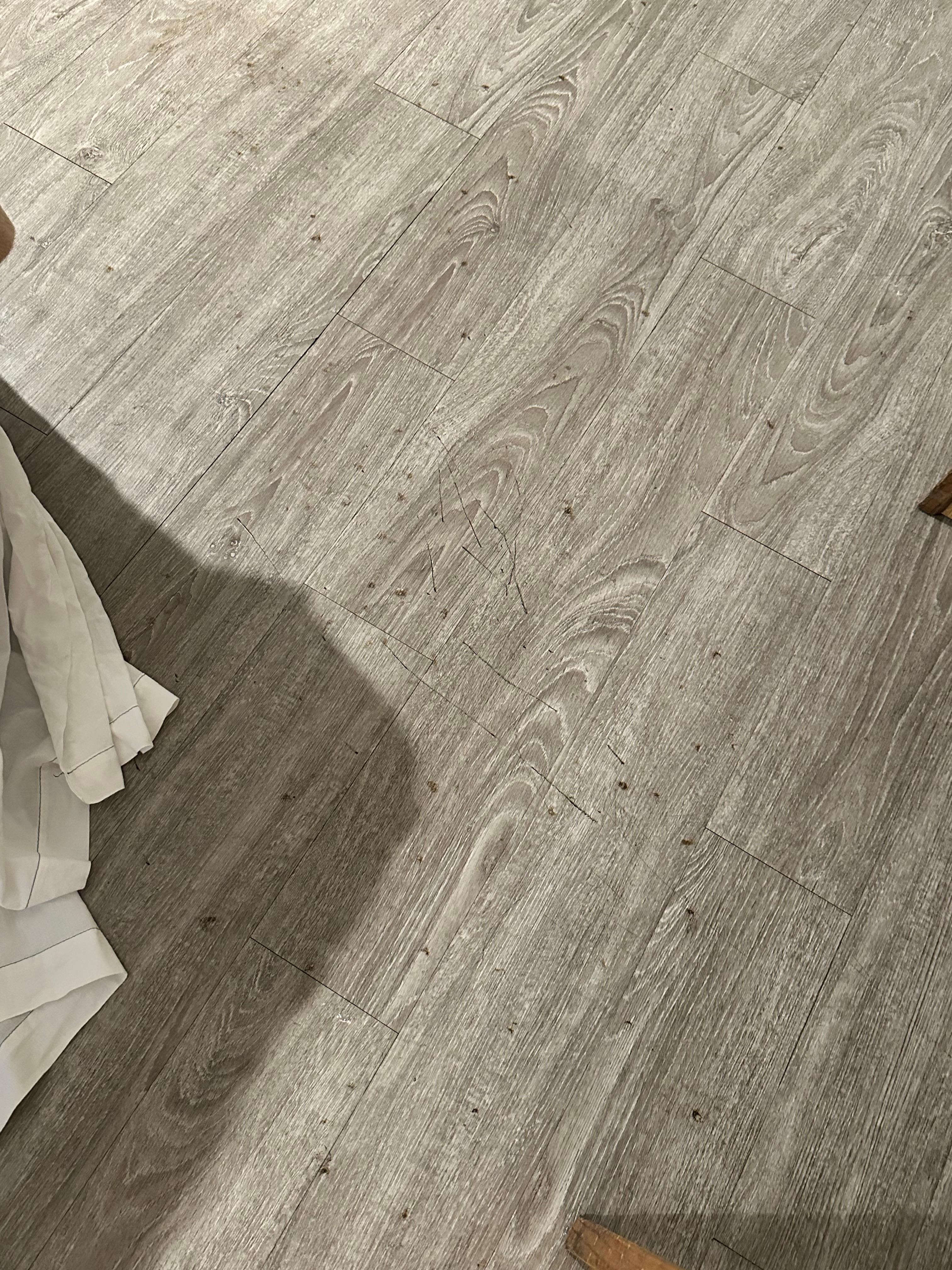 Bloodstains were everywhere; I don't know what happened.