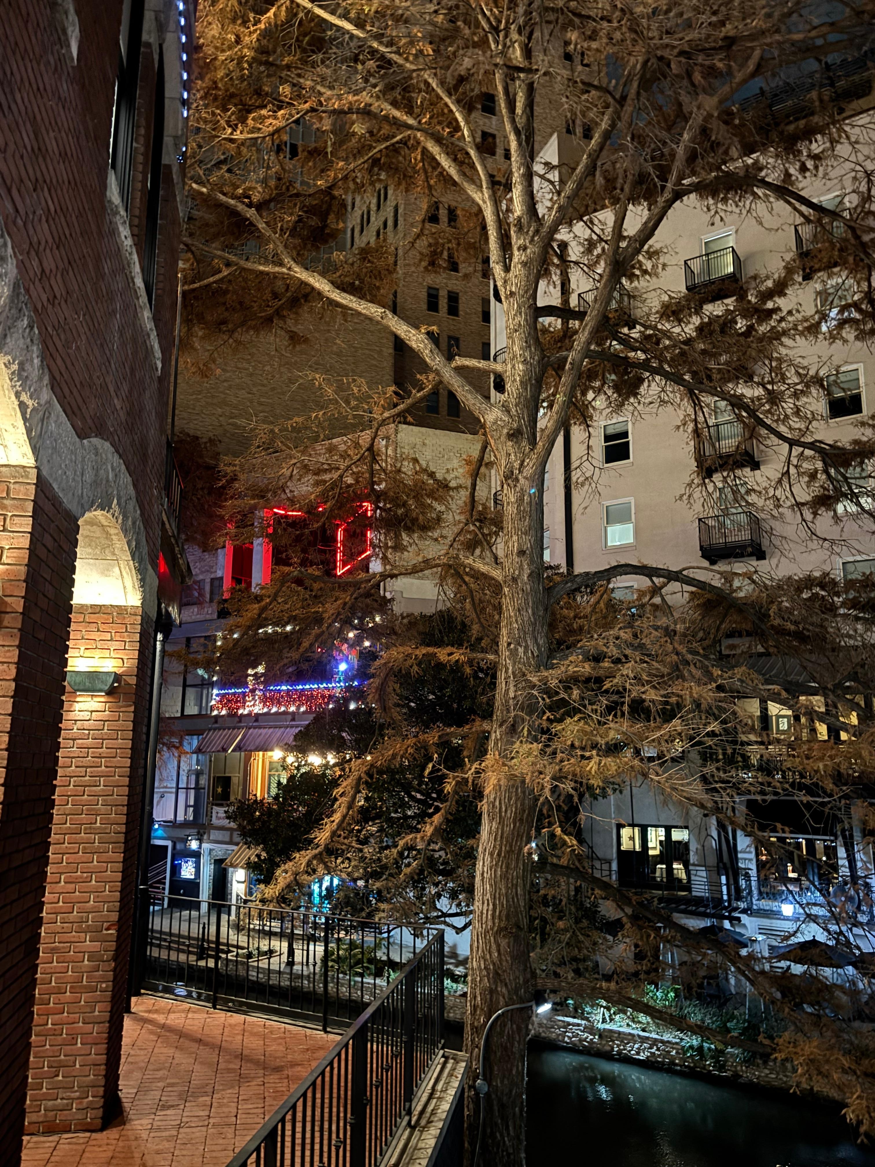 Nightclub next to building - back side 