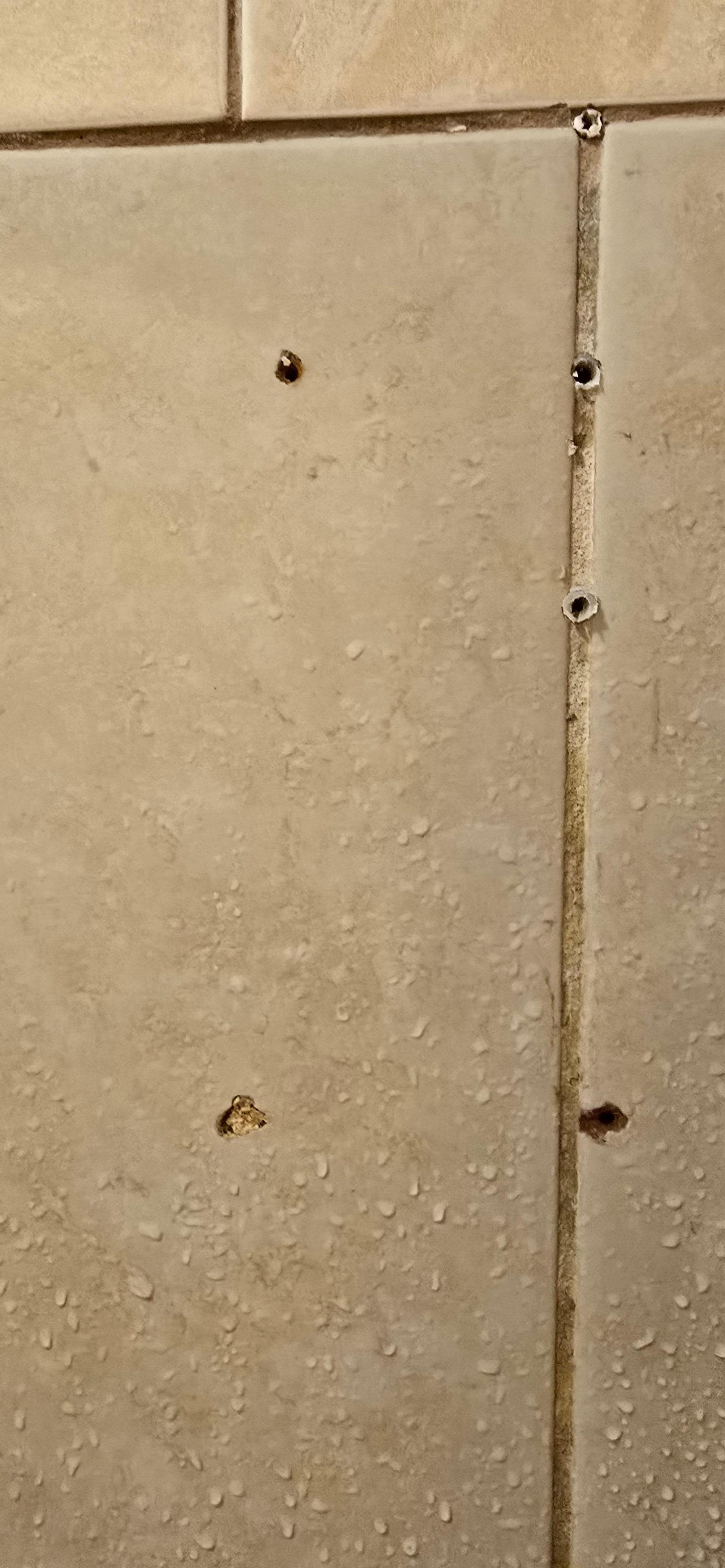 Mold in the bathroom