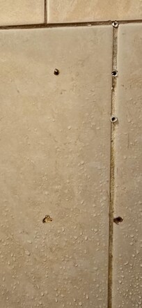 Mold in the bathroom