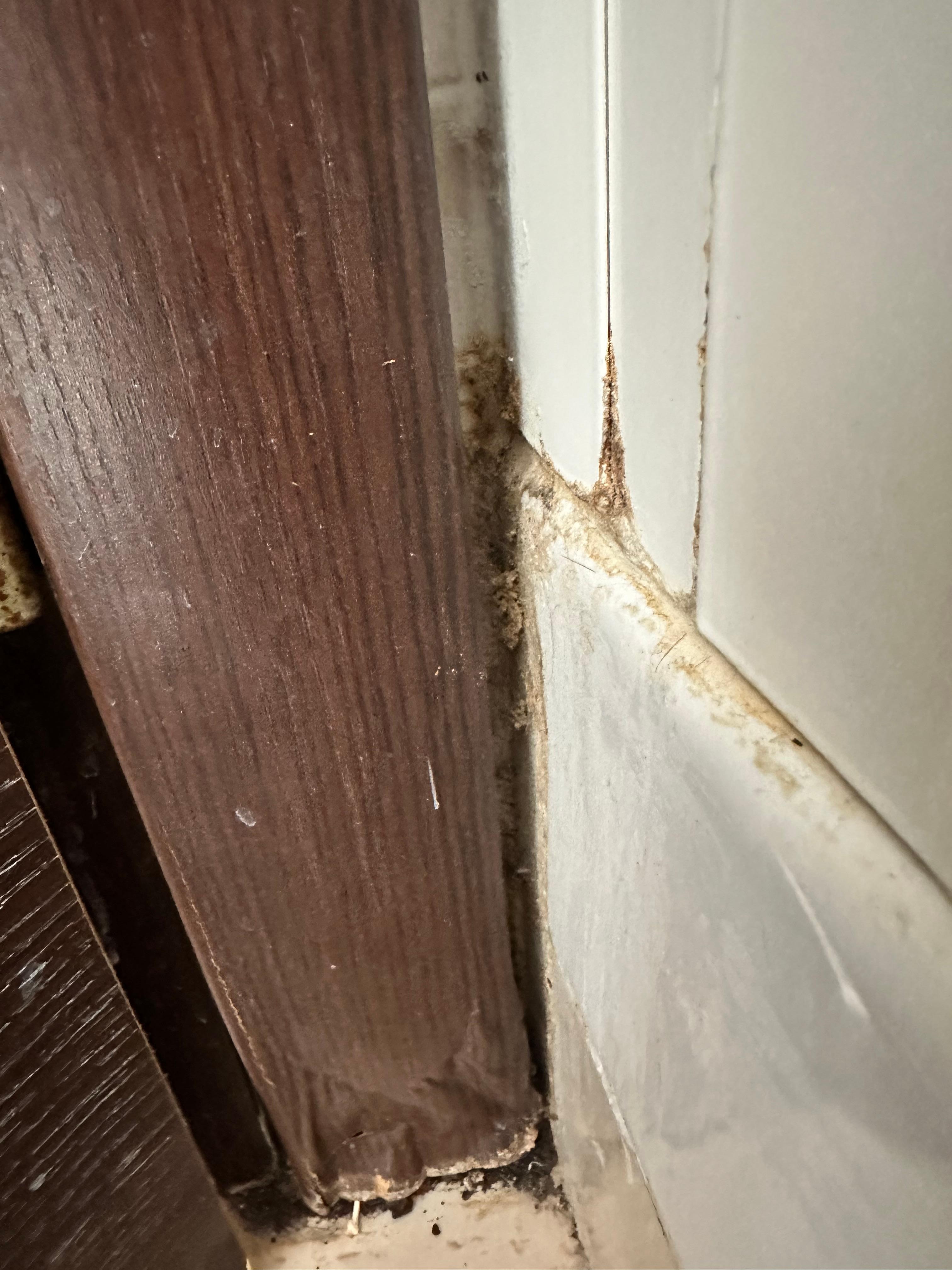 Next to the door, there was all of this dirt-ew. 