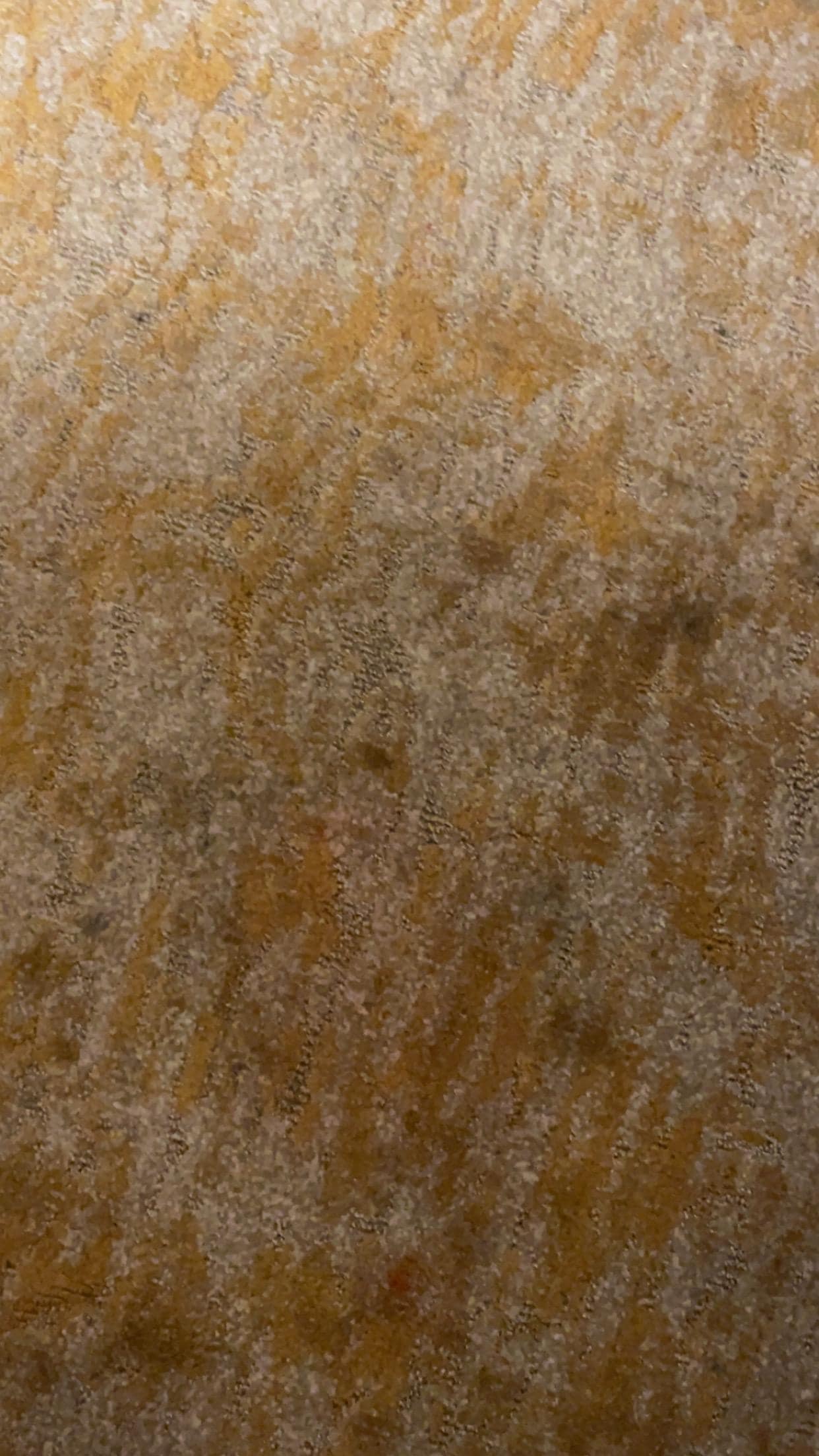 Stains on carpet throughout the whole room. 