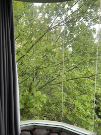 You could be out there in the wild with this tree outside rm 207 - amazing!