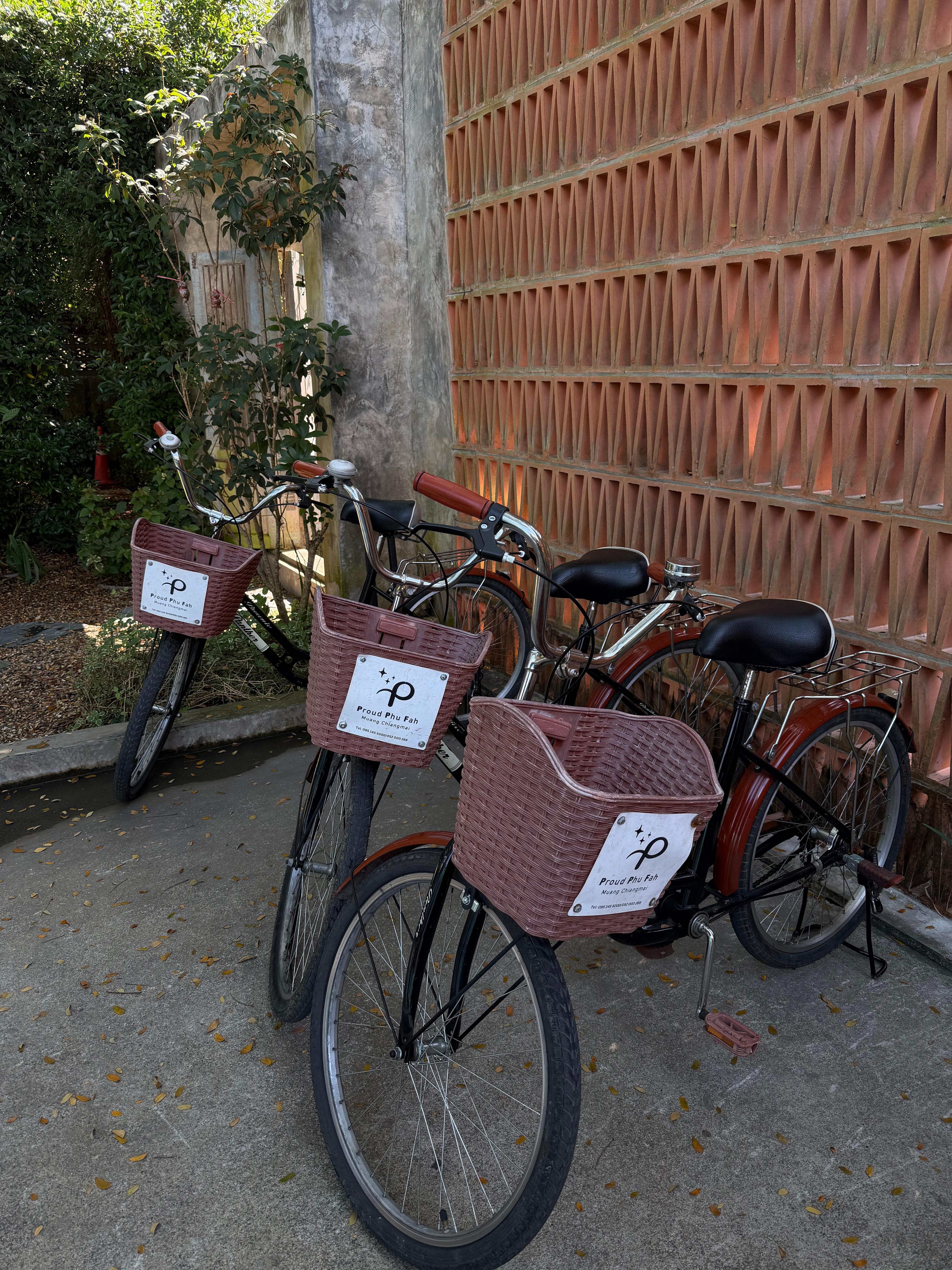 Allowed to use bikes for free for up to an hour. Went to explore the surrounding area with them.