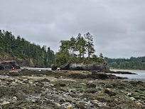 Tongue Point