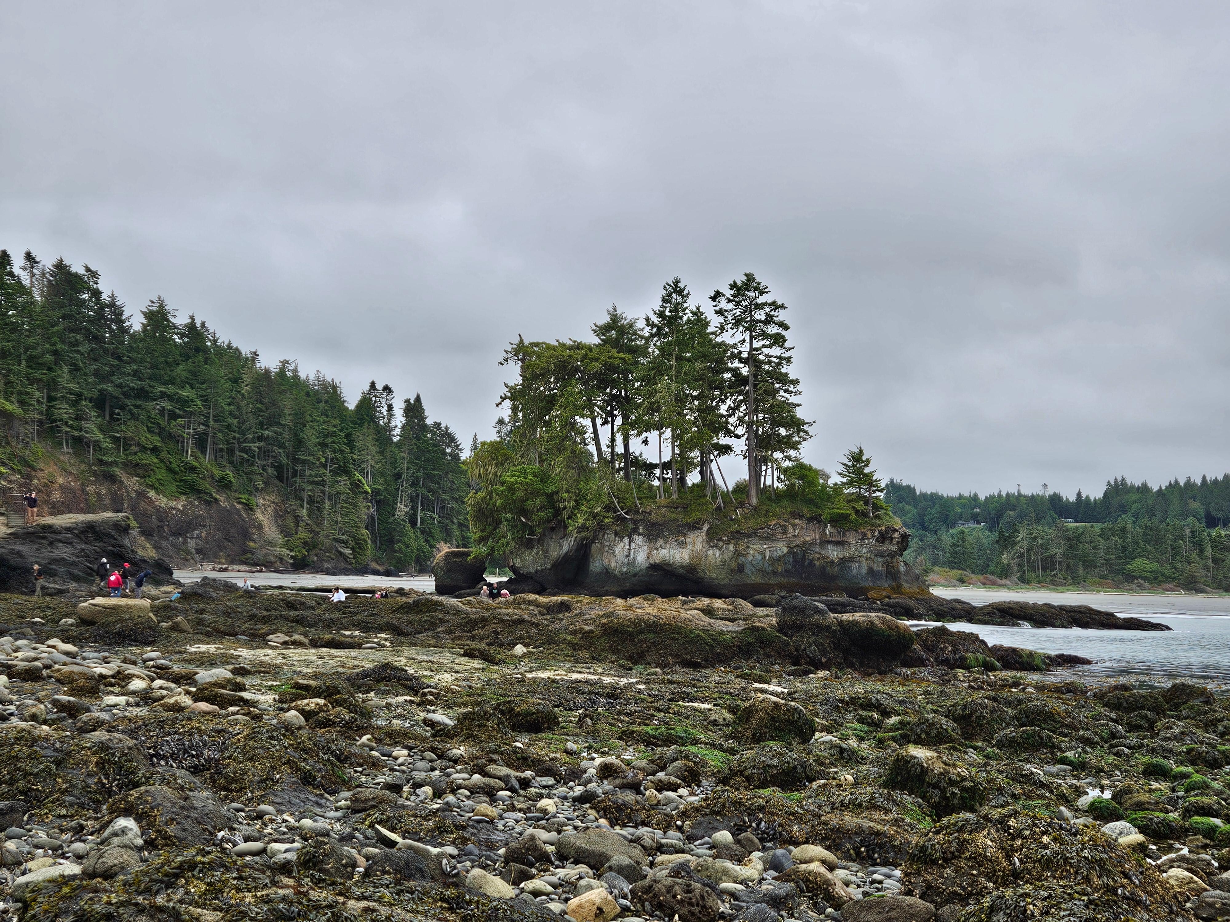Tongue Point