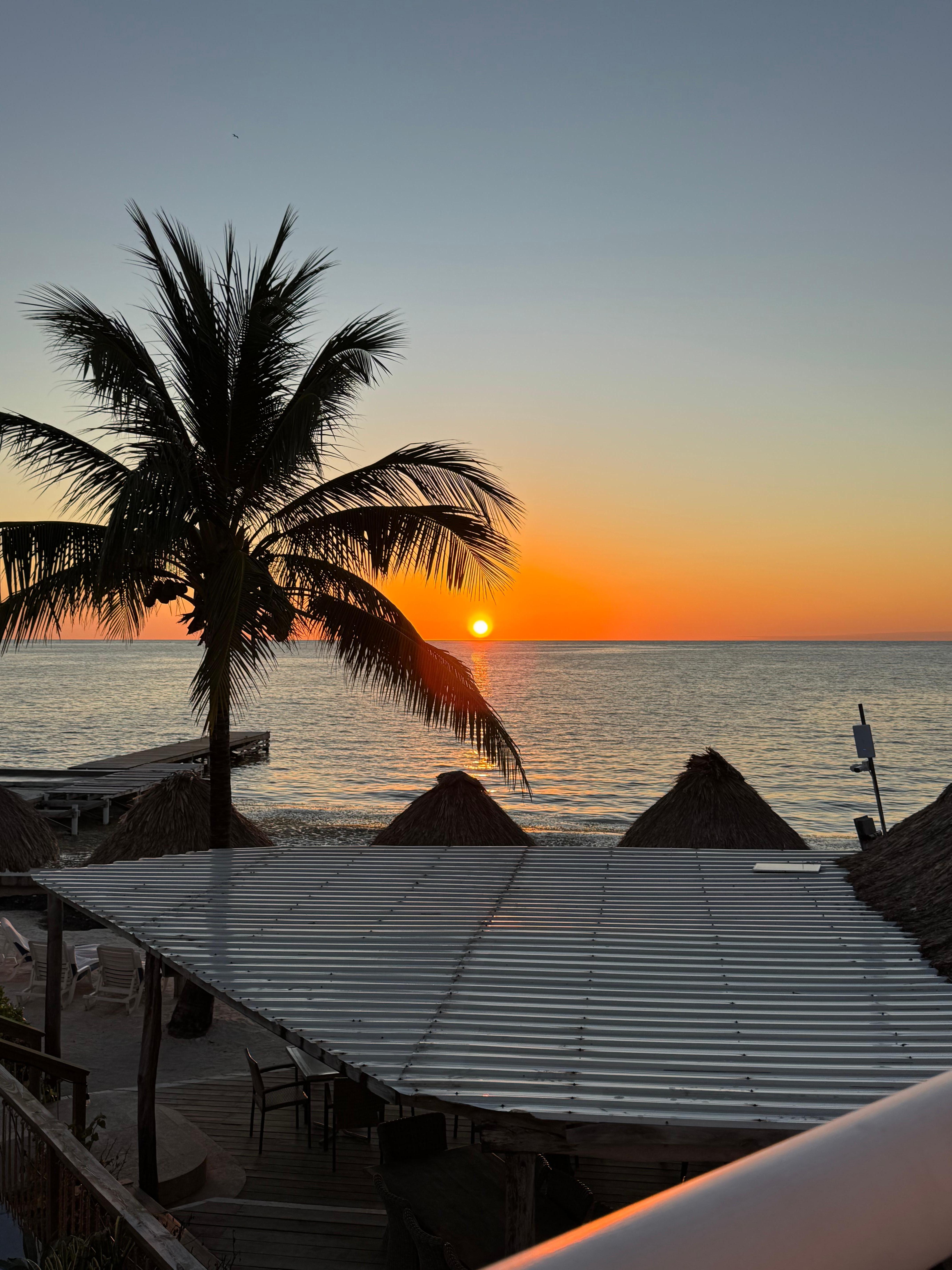 1st morning from the balcony !