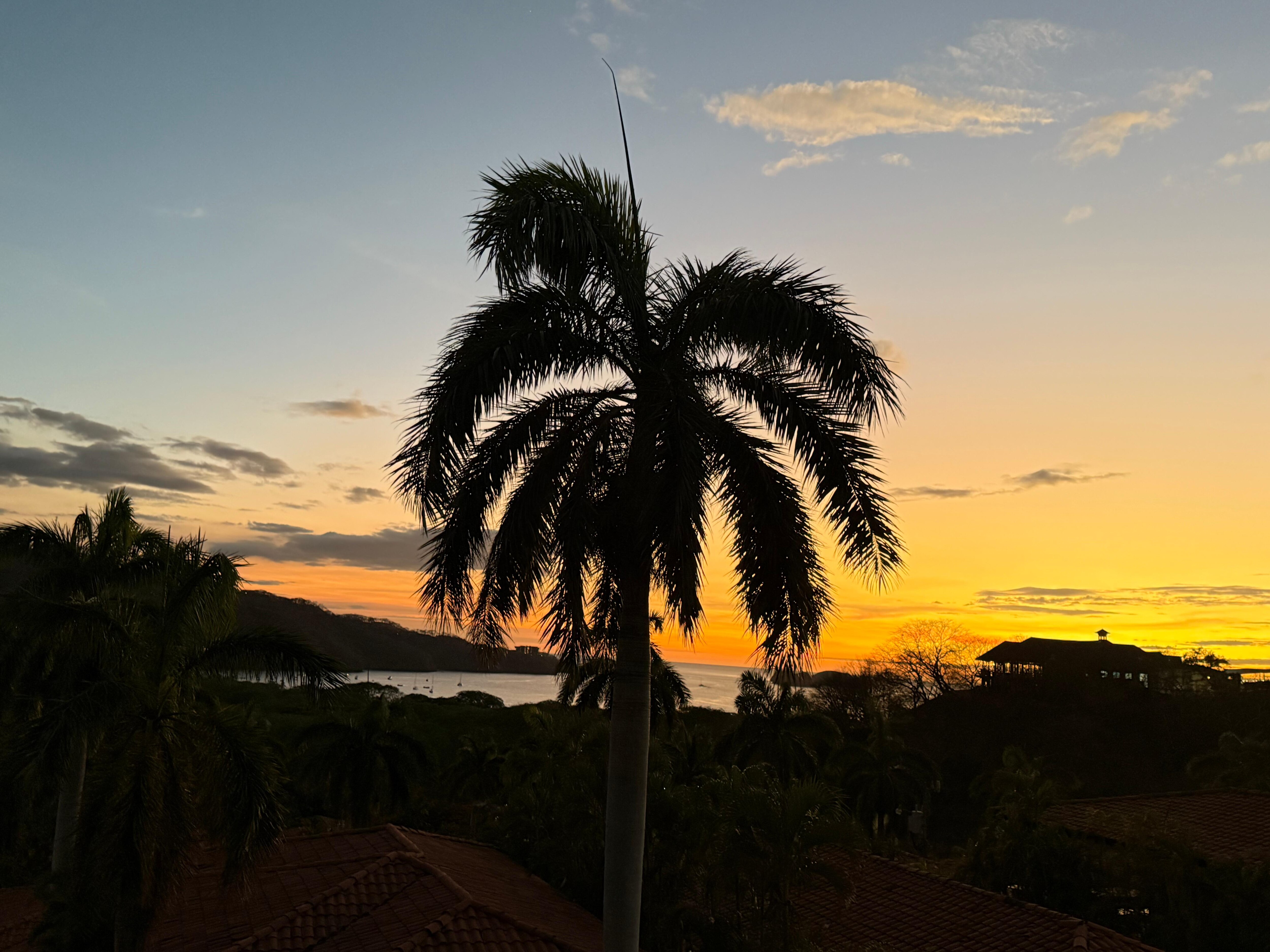 View from the condo