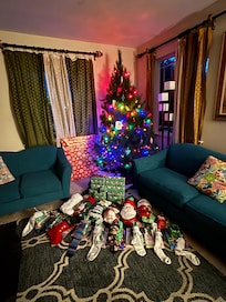 We had a live Christmas tree for the week.