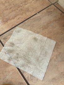 Guest bathroom floor wiped with a baby wipe.