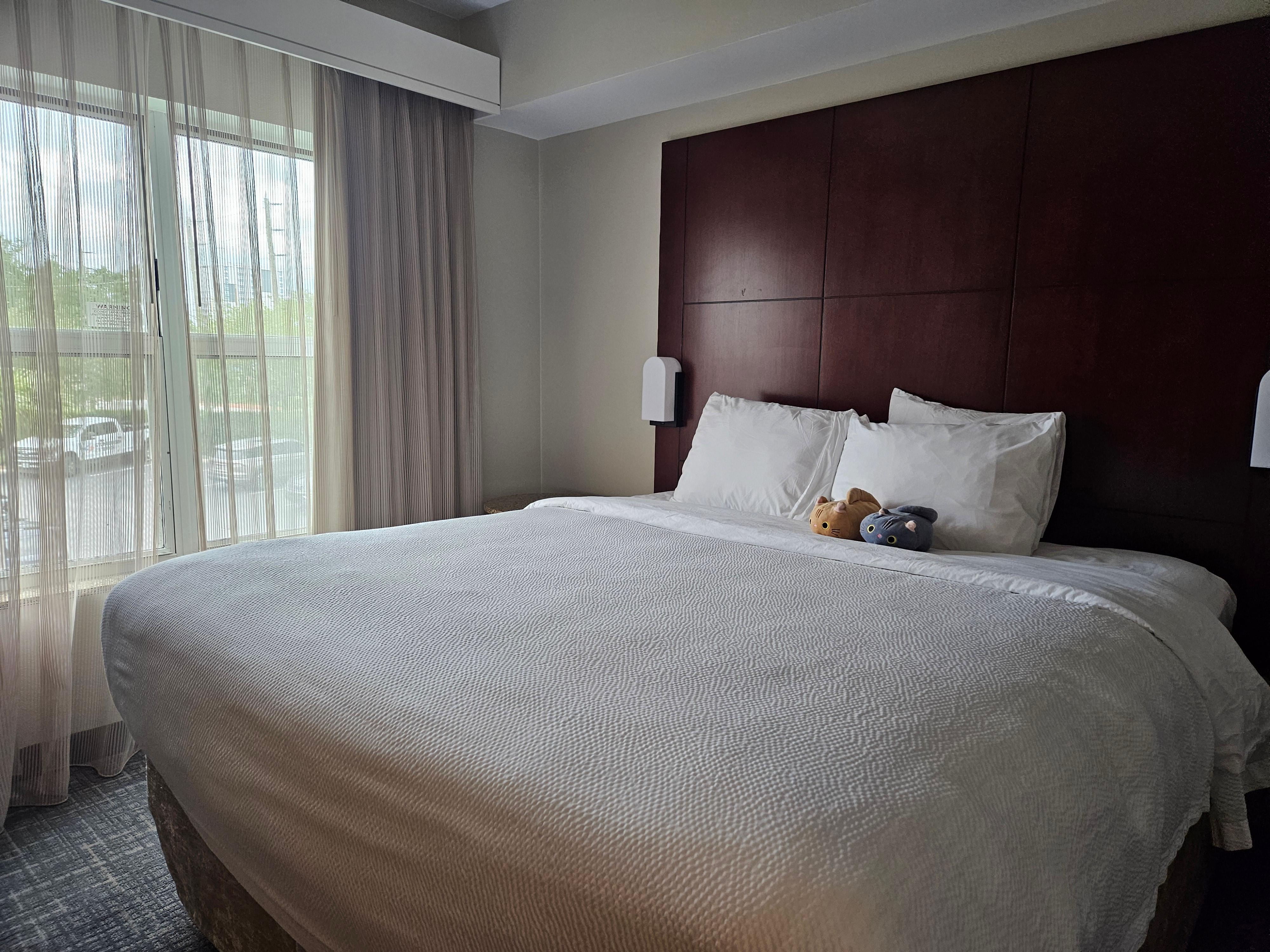 Cats are not included. They are came with me.