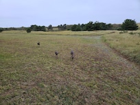 A few of the morning visitors.