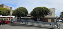 Close to transport, tourist spots and great breakfast at the Fiddle Fig