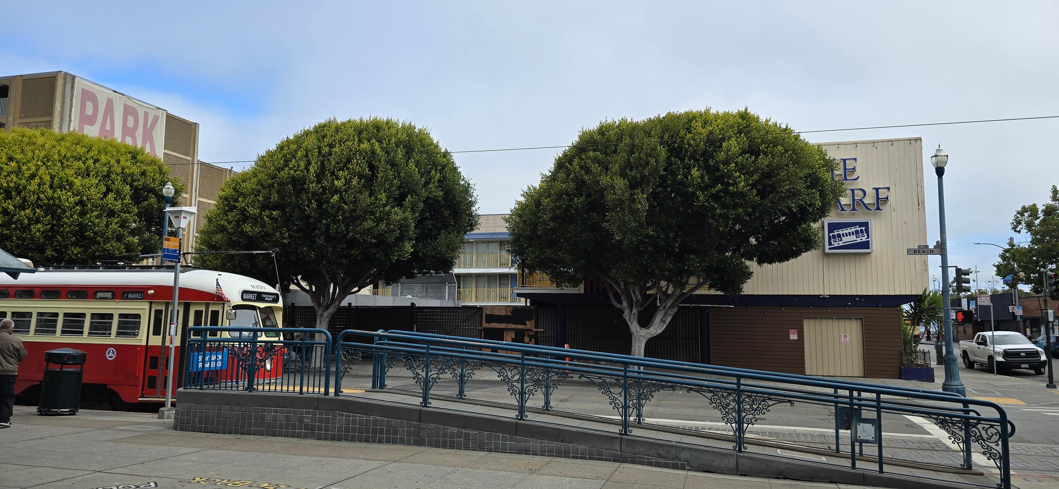 Close to transport, tourist spots and great breakfast at the Fiddle Fig