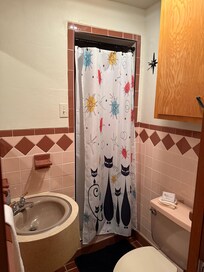 Perfect little bath off rec room