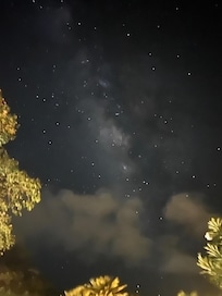 Milky Way seen on the way to drop the trash - totally worth it! :)