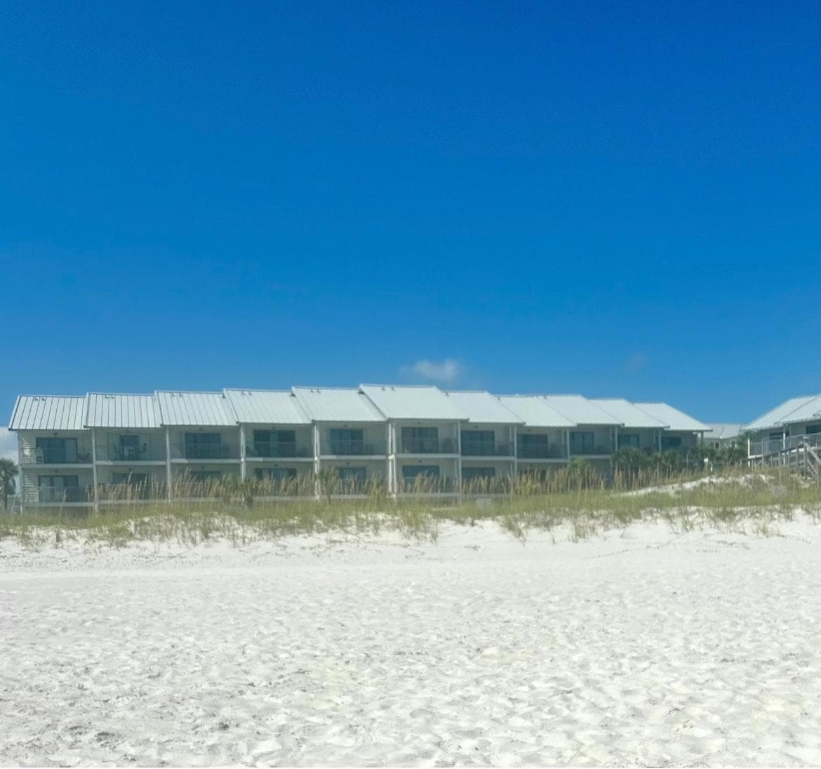 View of the condo from our spot on the beach