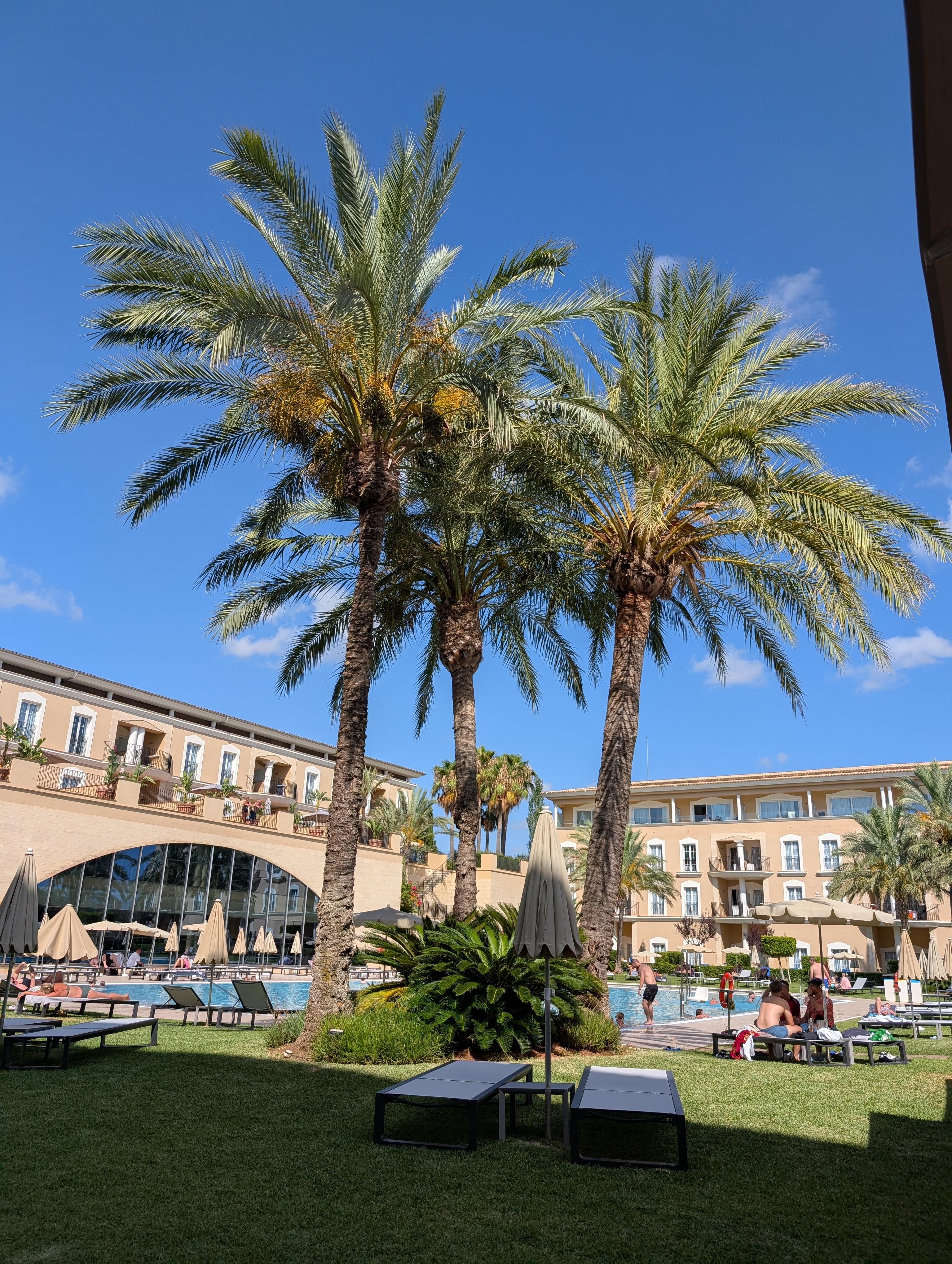 View of pool from Bistro Bar