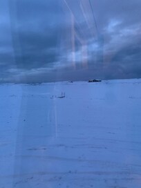 Views from the kitchen window.