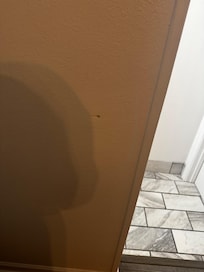 Dirty walls, including the entry door