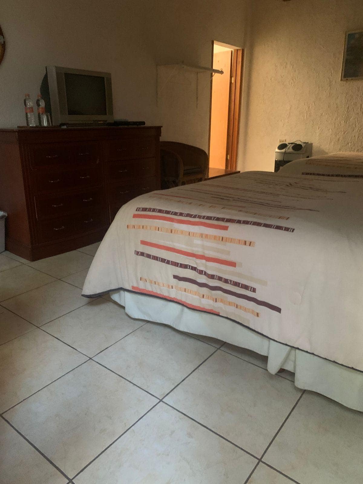 Instalaciones sucias con arañas otros bichos y humedad 