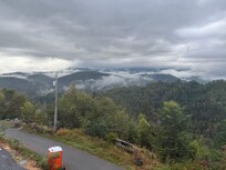 View from deck
