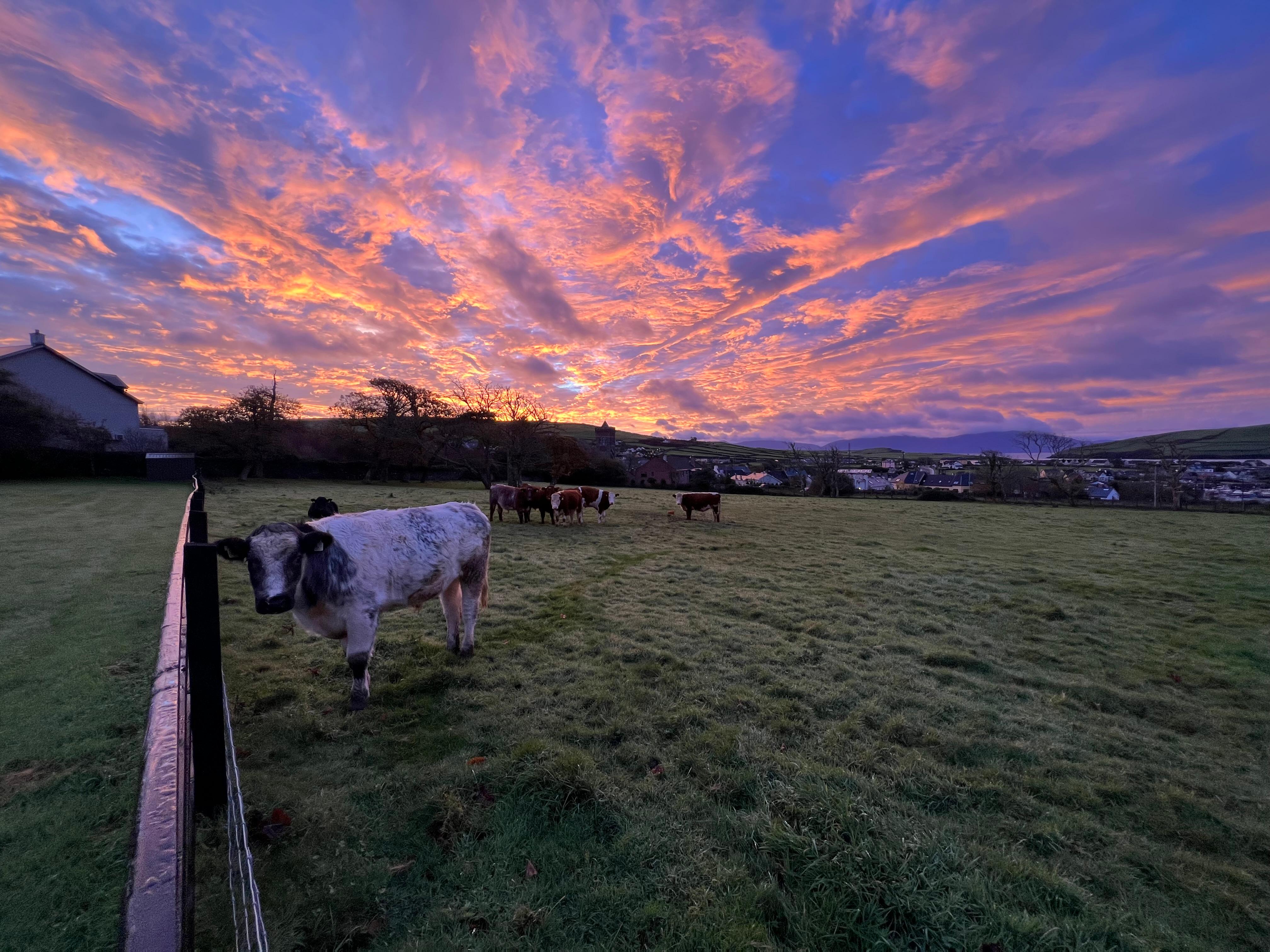 Right outside the cottage in the early morning. Breathtaking! 