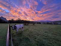 Right outside the cottage in the early morning. Breathtaking!