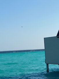 Les drones
