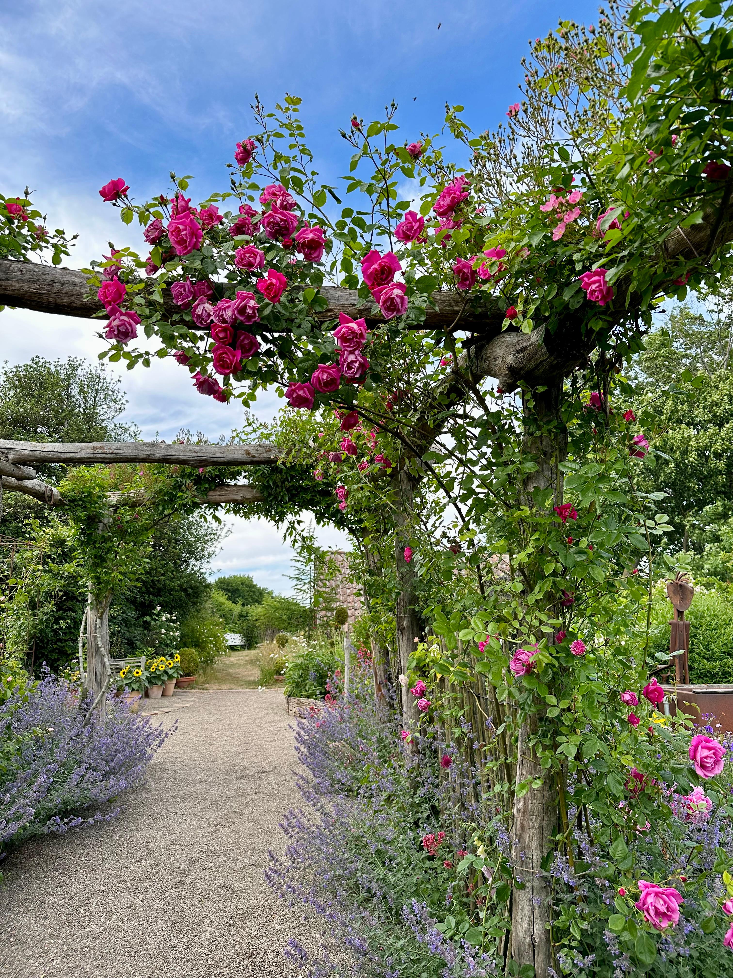 Den engelska trädgården 