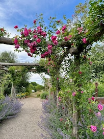 Den engelska trädgården