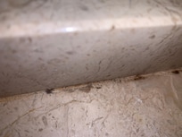 More filthy counter tops
