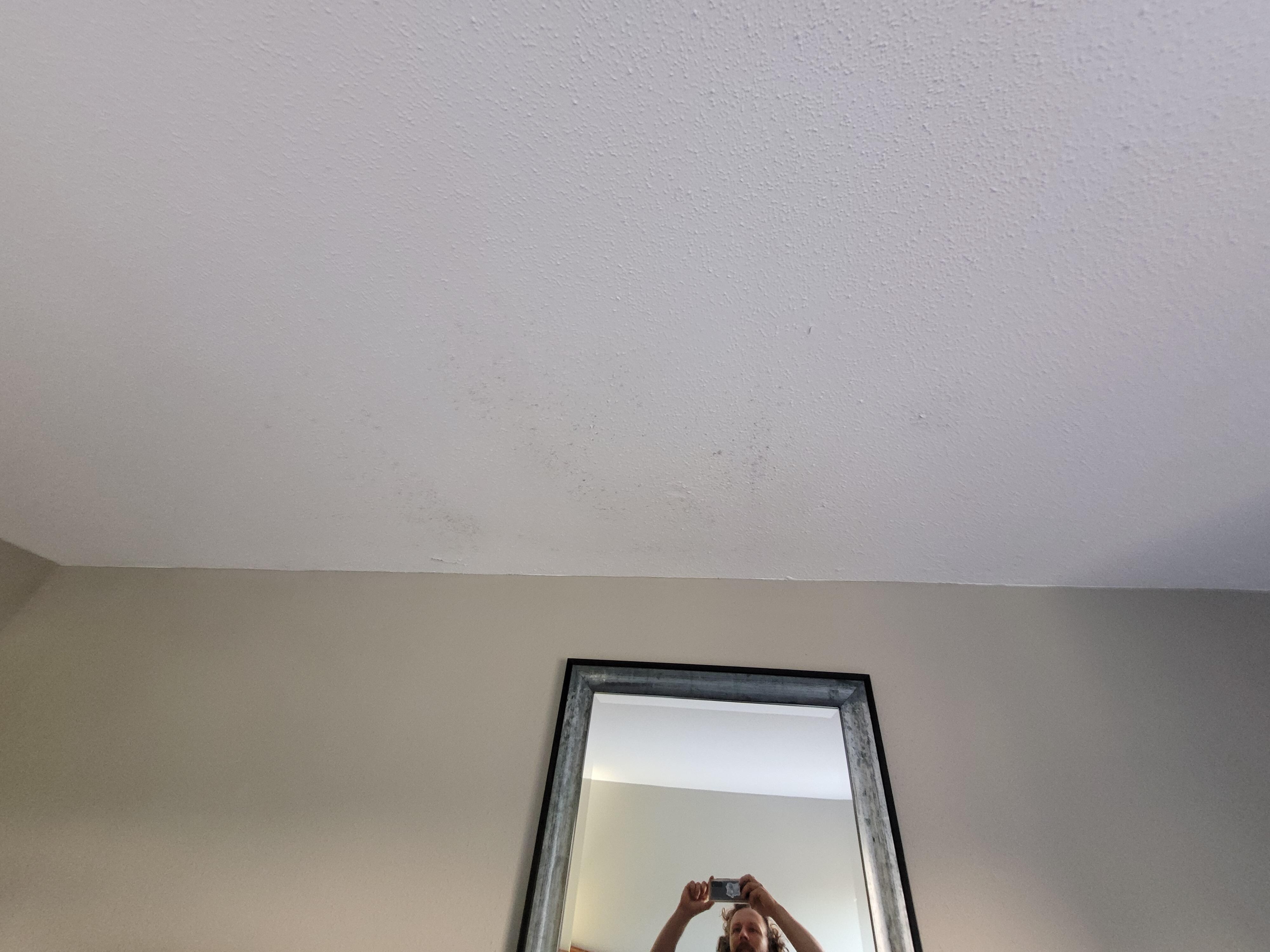 Peeling paint and mold on ceiling in bedroom.