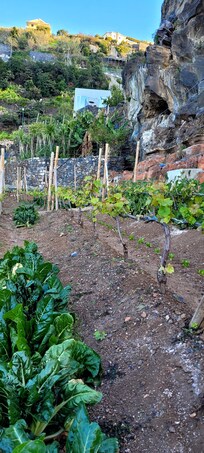 vue sur la chambre 8
