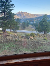 Our view
