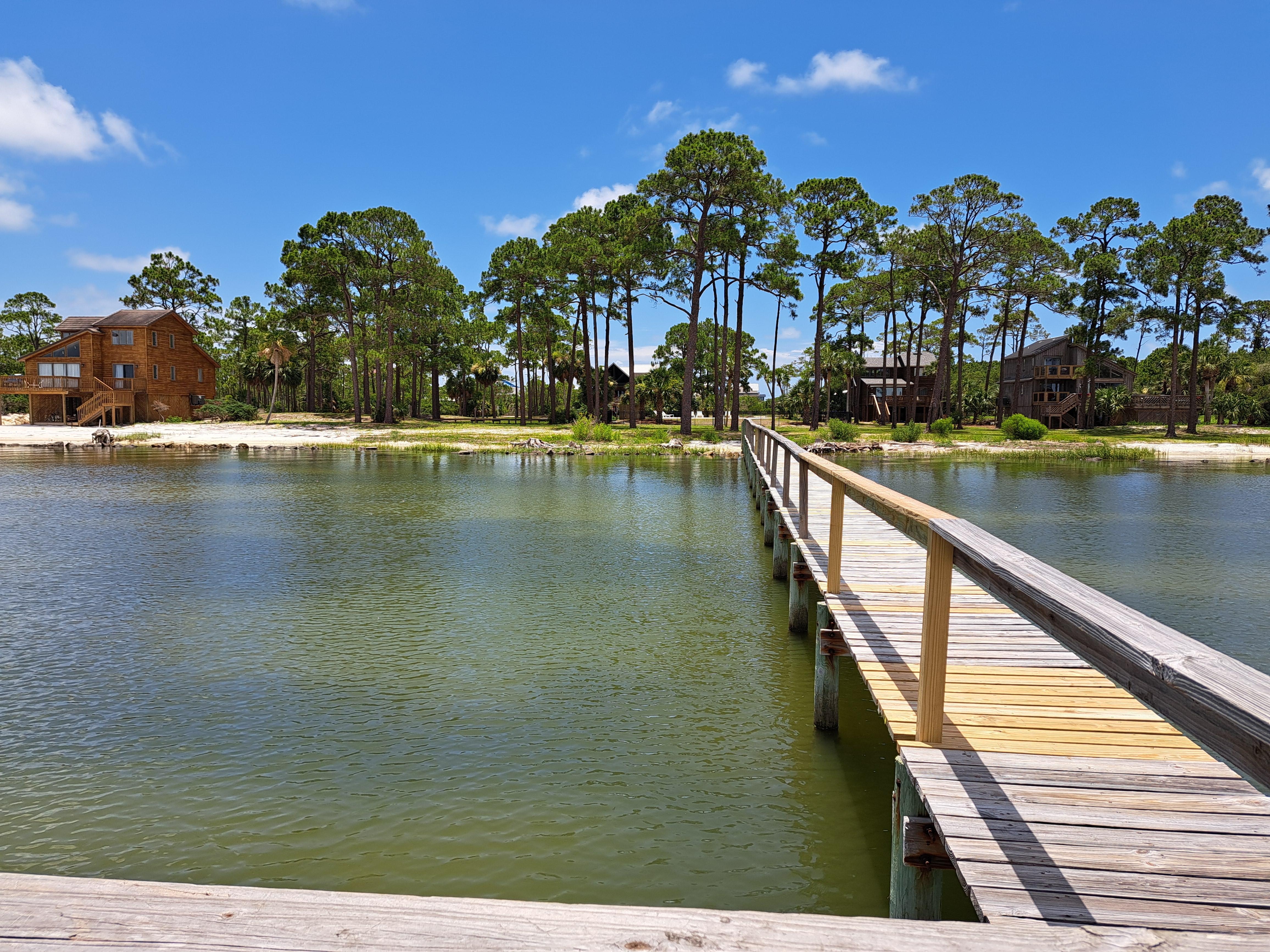 View from the dock back towards the house. Gorgeous either direction. 