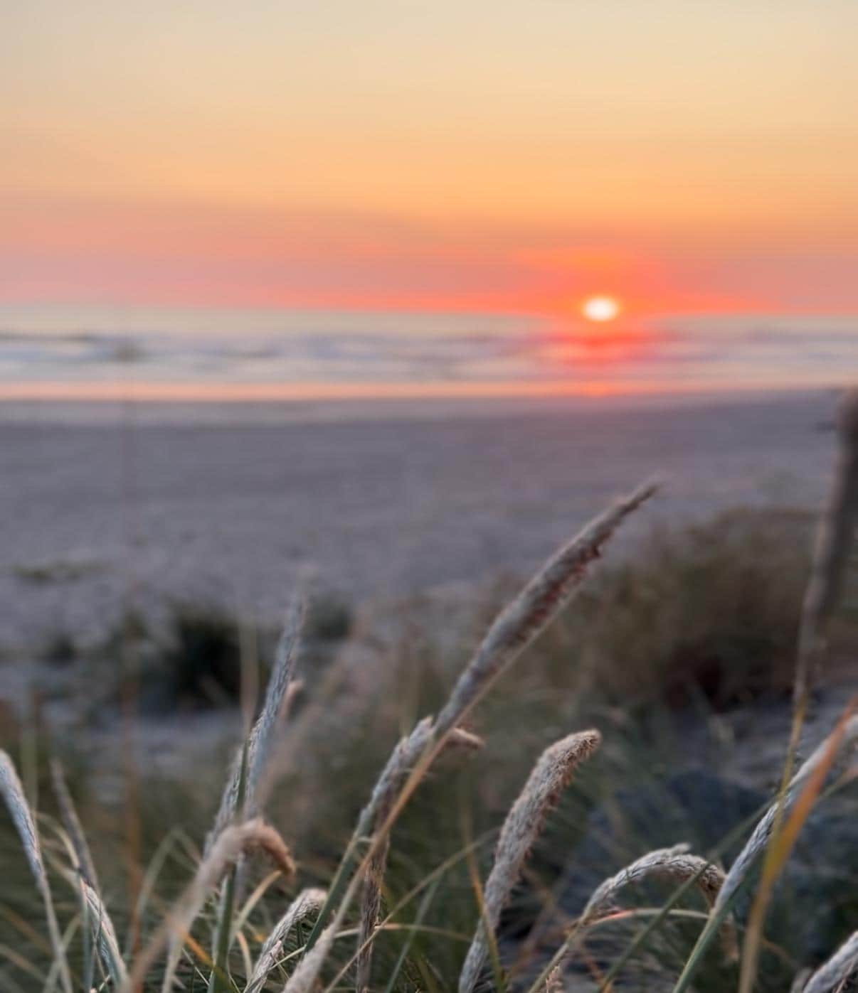 Sunset on Rockaway beach, which is just steps from the condo!