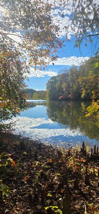 the lake from the back yard