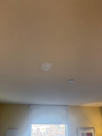 Unpainted drywall patch