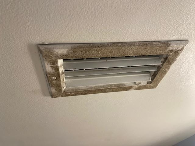 Mold in the Guest bathroom vent