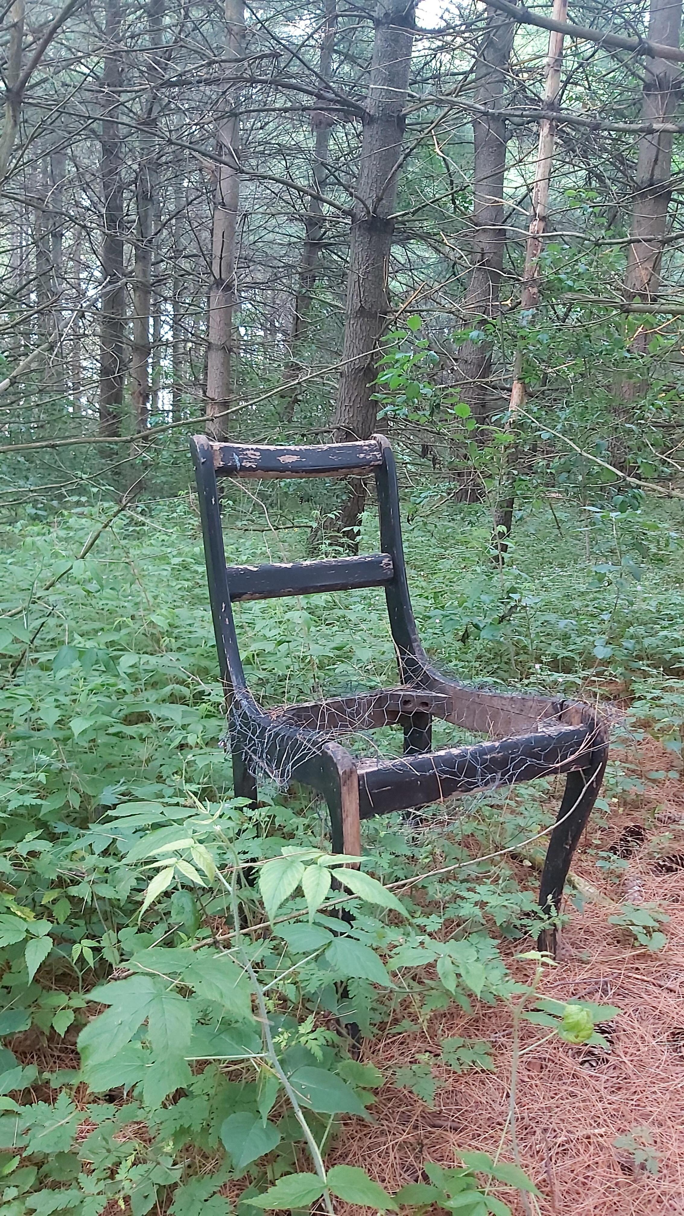Nature walk sprinkled with fun little decorations. 