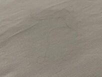 Black hair all over the top of one bed.