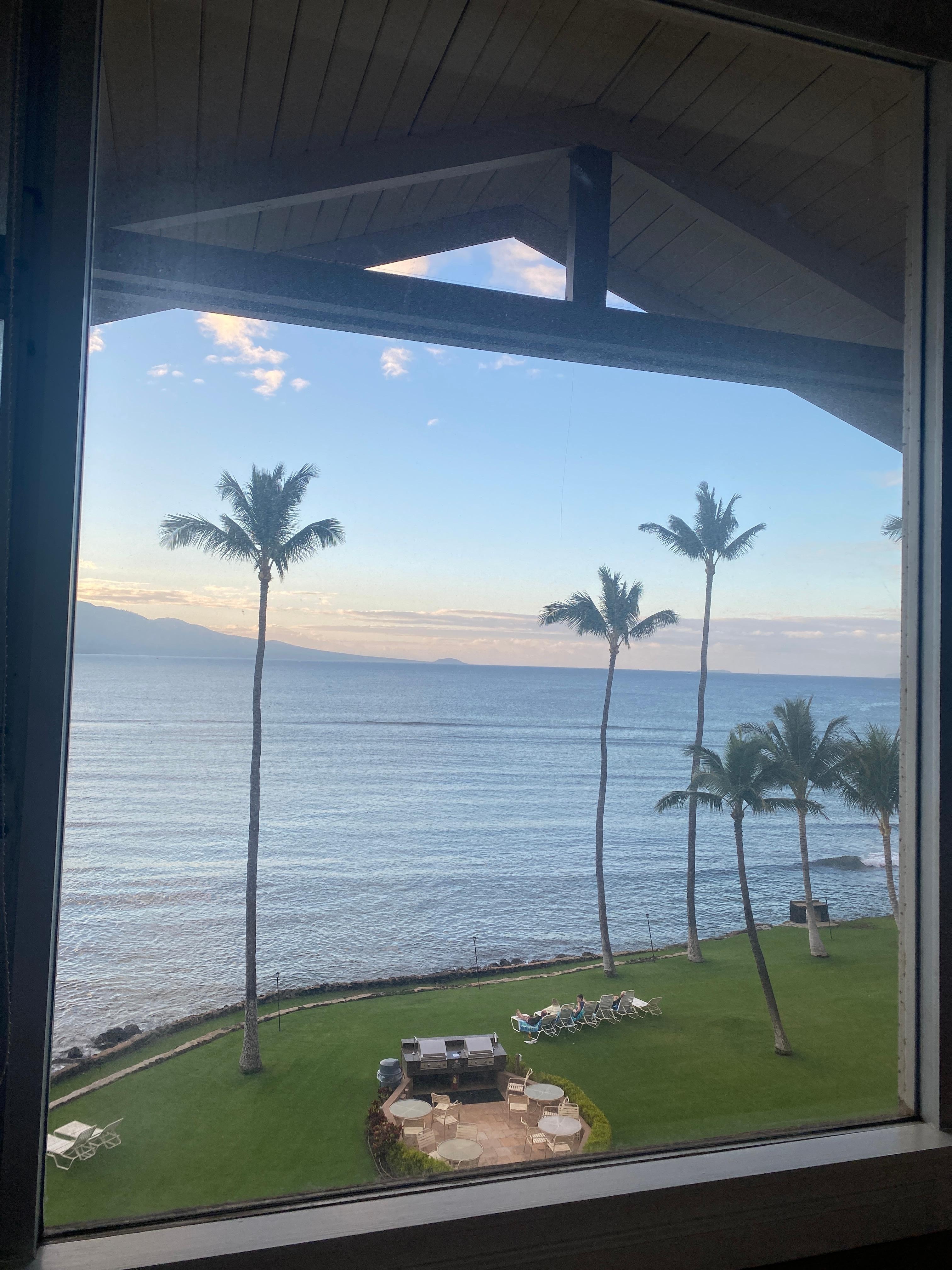 View from bed this morning ❣️