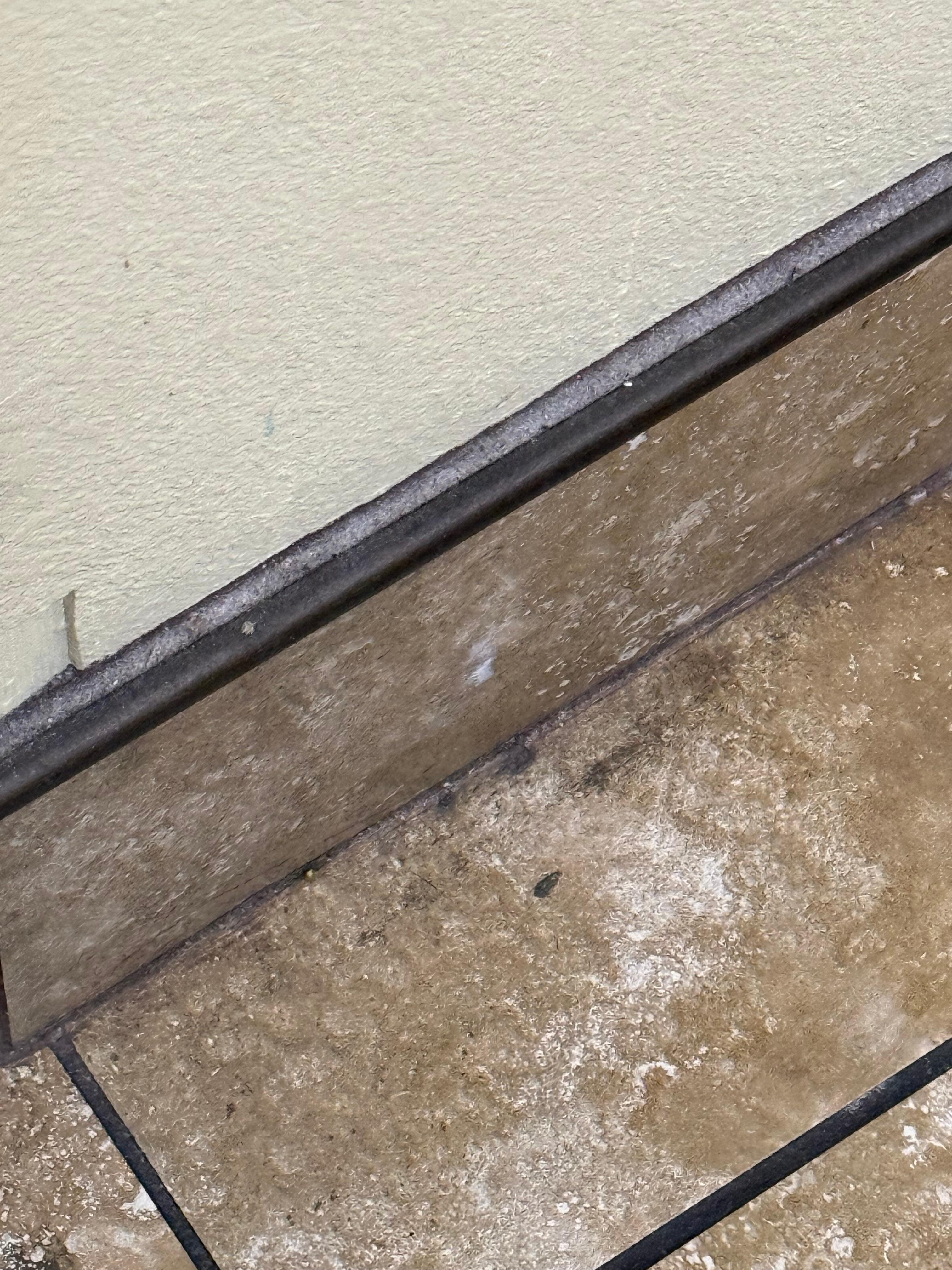 what appears to be mold in the bathroom section outside of the door by the sink area